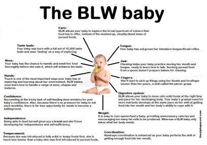 Introducing Solids Through Baby Led Weaning