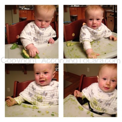 Early Stages of Baby Led Weaning